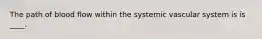 The path of blood flow within the systemic vascular system is is ____.