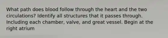 What path does blood follow through the heart and the two circulations? Identify all structures that it passes through. Including each chamber, valve, and great vessel. Begin at the right atrium