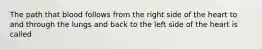 The path that blood follows from the right side of the heart to and through the lungs and back to the left side of the heart is called