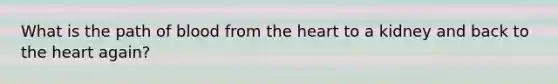 What is the path of blood from the heart to a kidney and back to the heart again?