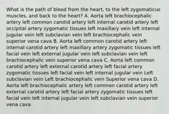 What is the path of blood from the heart, to the left zygomaticus muscles, and back to the heart? A. Aorta left brachiocephalic artery left common carotid artery left internal carotid artery left occipital artery zygomatic tissues left maxillary vein left internal jugular vein left subclavian vein left brachiocephalic vein superior vena cava B. Aorta left common carotid artery left internal carotid artery left maxillary artery zygomatic tissues left facial vein left external jugular vein left subclavian vein left brachiocephalic vein superior vena cava C. Aorta left common carotid artery left external carotid artery left facial artery zygomatic tissues left facial vein left internal jugular vein Left subclavian vein Left brachiocephalic vein Superior vena cava D. Aorta left brachiocephalic artery left common carotid artery left external carotid artery left facial artery zygomatic tissues left facial vein left internal jugular vein left subclavian vein superior vena cava