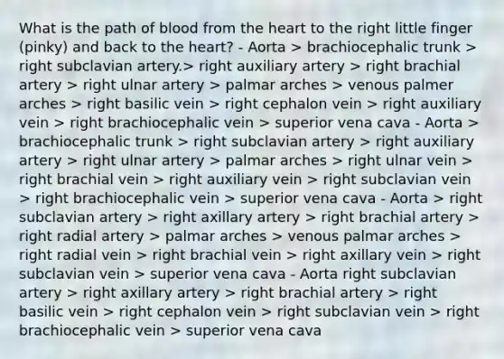 What is the path of blood from <a href='https://www.questionai.com/knowledge/kya8ocqc6o-the-heart' class='anchor-knowledge'>the heart</a> to the right little finger (pinky) and back to the heart? - Aorta > brachiocephalic trunk > right subclavian artery.> right auxiliary artery > right brachial artery > right ulnar artery > palmar arches > venous palmer arches > right basilic vein > right cephalon vein > right auxiliary vein > right brachiocephalic vein > superior vena cava - Aorta > brachiocephalic trunk > right subclavian artery > right auxiliary artery > right ulnar artery > palmar arches > right ulnar vein > right brachial vein > right auxiliary vein > right subclavian vein > right brachiocephalic vein > superior vena cava - Aorta > right subclavian artery > right axillary artery > right brachial artery > right radial artery > palmar arches > venous palmar arches > right radial vein > right brachial vein > right axillary vein > right subclavian vein > superior vena cava - Aorta right subclavian artery > right axillary artery > right brachial artery > right basilic vein > right cephalon vein > right subclavian vein > right brachiocephalic vein > superior vena cava