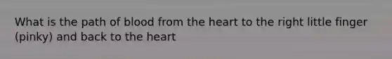 What is the path of blood from the heart to the right little finger (pinky) and back to the heart