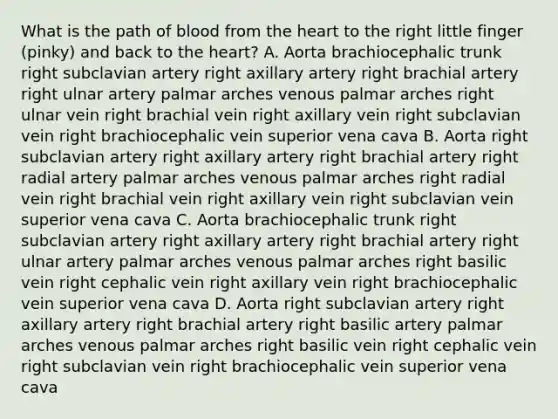 What is the path of blood from the heart to the right little finger (pinky) and back to the heart? A. Aorta brachiocephalic trunk right subclavian artery right axillary artery right brachial artery right ulnar artery palmar arches venous palmar arches right ulnar vein right brachial vein right axillary vein right subclavian vein right brachiocephalic vein superior vena cava B. Aorta right subclavian artery right axillary artery right brachial artery right radial artery palmar arches venous palmar arches right radial vein right brachial vein right axillary vein right subclavian vein superior vena cava C. Aorta brachiocephalic trunk right subclavian artery right axillary artery right brachial artery right ulnar artery palmar arches venous palmar arches right basilic vein right cephalic vein right axillary vein right brachiocephalic vein superior vena cava D. Aorta right subclavian artery right axillary artery right brachial artery right basilic artery palmar arches venous palmar arches right basilic vein right cephalic vein right subclavian vein right brachiocephalic vein superior vena cava