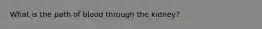 What is the path of blood through the kidney?