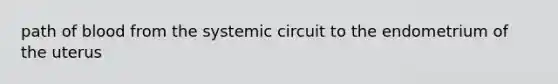 path of blood from the systemic circuit to the endometrium of the uterus