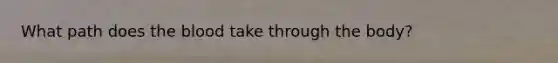 What path does <a href='https://www.questionai.com/knowledge/k7oXMfj7lk-the-blood' class='anchor-knowledge'>the blood</a> take through the body?