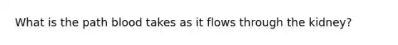 What is the path blood takes as it flows through the kidney?