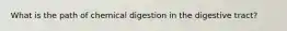 What is the path of chemical digestion in the digestive tract?