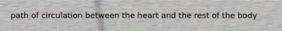 path of circulation between the heart and the rest of the body