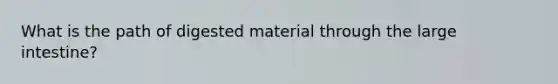 What is the path of digested material through the large intestine?