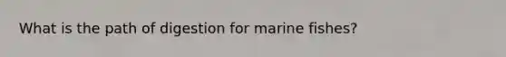 What is the path of digestion for marine fishes?