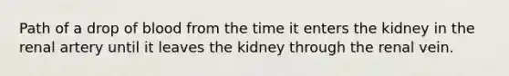 Path of a drop of blood from the time it enters the kidney in the renal artery until it leaves the kidney through the renal vein.