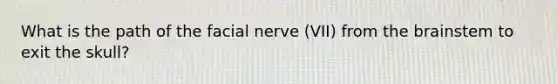 What is the path of the facial nerve (VII) from the brainstem to exit the skull?