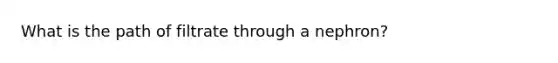 What is the path of filtrate through a nephron?