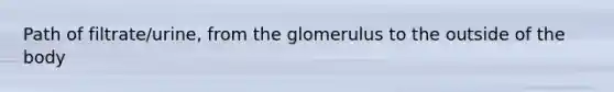 Path of filtrate/urine, from the glomerulus to the outside of the body