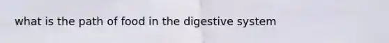 what is the path of food in the digestive system