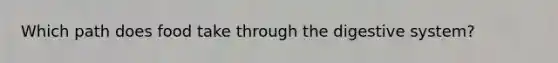 Which path does food take through the digestive system?