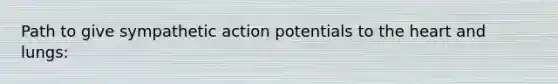 Path to give sympathetic action potentials to the heart and lungs: