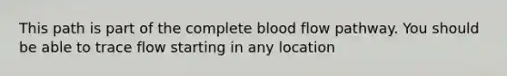 This path is part of the complete blood flow pathway. You should be able to trace flow starting in any location