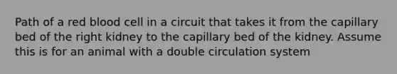 Path of a red blood cell in a circuit that takes it from the capillary bed of the right kidney to the capillary bed of the kidney. Assume this is for an animal with a double circulation system