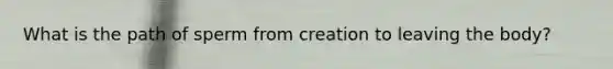 What is the path of sperm from creation to leaving the body?