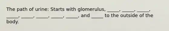 The path of urine: Starts with glomerulus, _____, _____, _____, _____, _____, _____, _____, _____, and _____ to the outside of the body.