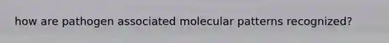 how are pathogen associated molecular patterns recognized?