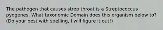 The pathogen that causes strep throat is a Streptococcus pyogenes. What taxonomic Domain does this organism below to? (Do your best with spelling, I will figure it out!)