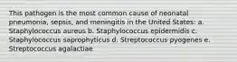 This pathogen is the most common cause of neonatal pneumonia, sepsis, and meningitis in the United States: a. Staphylococcus aureus b. Staphylococcus epidermidis c. Staphylococcus saprophyticus d. Streptococcus pyogenes e. Streptococcus agalactiae