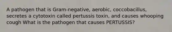 A pathogen that is Gram-negative, aerobic, coccobacillus, secretes a cytotoxin called pertussis toxin, and causes whooping cough What is the pathogen that causes PERTUSSIS?