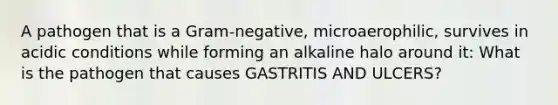 A pathogen that is a Gram-negative, microaerophilic, survives in acidic conditions while forming an alkaline halo around it: What is the pathogen that causes GASTRITIS AND ULCERS?