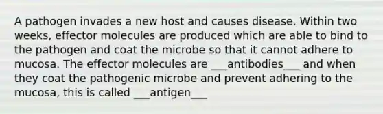 A pathogen invades a new host and causes disease. Within two weeks, effector molecules are produced which are able to bind to the pathogen and coat the microbe so that it cannot adhere to mucosa. The effector molecules are ___antibodies___ and when they coat the pathogenic microbe and prevent adhering to the mucosa, this is called ___antigen___