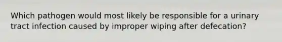 Which pathogen would most likely be responsible for a urinary tract infection caused by improper wiping after defecation?