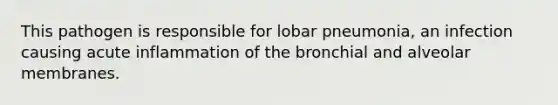 This pathogen is responsible for lobar pneumonia, an infection causing acute inflammation of the bronchial and alveolar membranes.