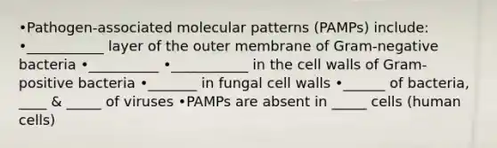 •Pathogen-associated molecular patterns (PAMPs) include: •___________ layer of the outer membrane of Gram-negative bacteria •__________ •___________ in the cell walls of Gram-positive bacteria •_______ in fungal cell walls •______ of bacteria, ____ & _____ of viruses •PAMPs are absent in _____ cells (human cells)