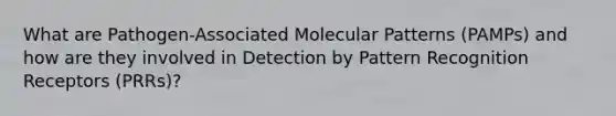 What are Pathogen-Associated Molecular Patterns (PAMPs) and how are they involved in Detection by Pattern Recognition Receptors (PRRs)?