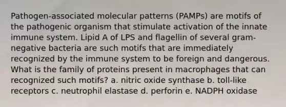 Pathogen-associated molecular patterns (PAMPs) are motifs of the pathogenic organism that stimulate activation of the innate immune system. Lipid A of LPS and flagellin of several gram-negative bacteria are such motifs that are immediately recognized by the immune system to be foreign and dangerous. What is the family of proteins present in macrophages that can recognized such motifs? a. nitric oxide synthase b. toll-like receptors c. neutrophil elastase d. perforin e. NADPH oxidase