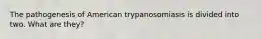 The pathogenesis of American trypanosomiasis is divided into two. What are they?