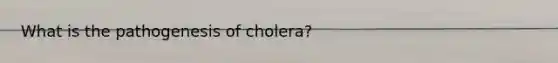 What is the pathogenesis of cholera?