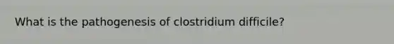 What is the pathogenesis of clostridium difficile?