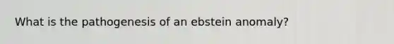 What is the pathogenesis of an ebstein anomaly?