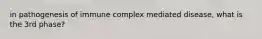 in pathogenesis of immune complex mediated disease, what is the 3rd phase?