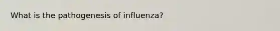 What is the pathogenesis of influenza?