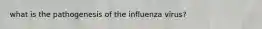 what is the pathogenesis of the influenza virus?