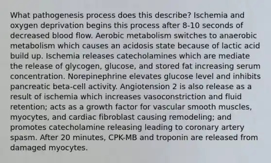 What pathogenesis process does this describe? Ischemia and oxygen deprivation begins this process after 8-10 seconds of decreased blood flow. Aerobic metabolism switches to anaerobic metabolism which causes an acidosis state because of lactic acid build up. Ischemia releases catecholamines which are mediate the release of glycogen, glucose, and stored fat increasing serum concentration. Norepinephrine elevates glucose level and inhibits pancreatic beta-cell activity. Angiotension 2 is also release as a result of ischemia which increases vasoconstriction and fluid retention; acts as a growth factor for vascular smooth muscles, myocytes, and cardiac fibroblast causing remodeling; and promotes catecholamine releasing leading to coronary artery spasm. After 20 minutes, CPK-MB and troponin are released from damaged myocytes.