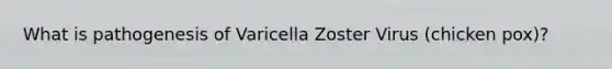 What is pathogenesis of Varicella Zoster Virus (chicken pox)?