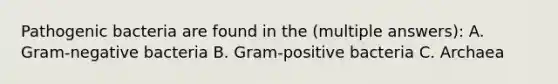 Pathogenic bacteria are found in the (multiple answers): A. Gram-negative bacteria B. Gram-positive bacteria C. Archaea