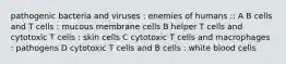 pathogenic bacteria and viruses : enemies of humans :: A B cells and T cells : mucous membrane cells B helper T cells and cytotoxic T cells : skin cells C cytotoxic T cells and macrophages : pathogens D cytotoxic T cells and B cells : white blood cells