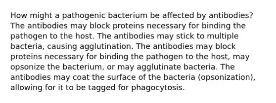 How might a pathogenic bacterium be affected by antibodies? The antibodies may block proteins necessary for binding the pathogen to the host. The antibodies may stick to multiple bacteria, causing agglutination. The antibodies may block proteins necessary for binding the pathogen to the host, may opsonize the bacterium, or may agglutinate bacteria. The antibodies may coat the surface of the bacteria (opsonization), allowing for it to be tagged for phagocytosis.